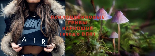 2c-b Остров