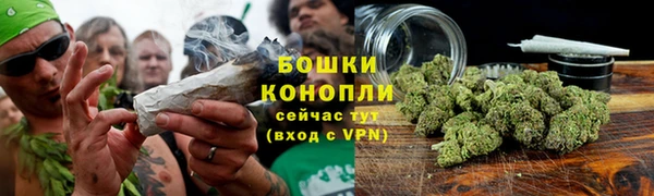 ECSTASY Осинники