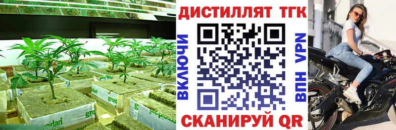 omg как войти  Лабытнанги  Дистиллят ТГК гашишное масло 