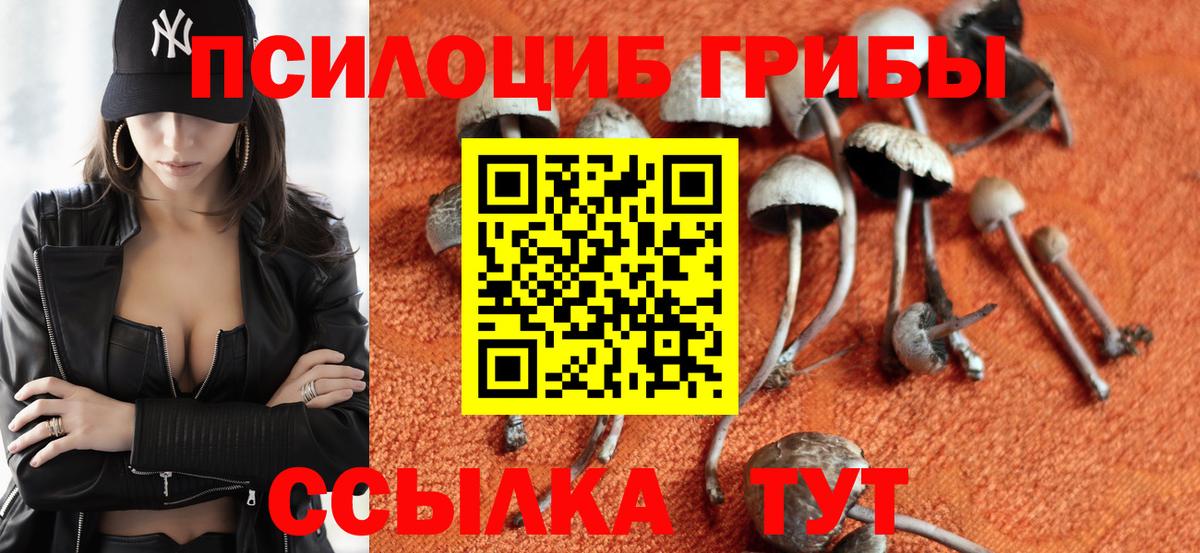 магазин  наркотиков  Вход с VPN  Лабытнанги  Галлюциногенные грибы ЛСД  Псилоцибиновые грибы Magic Shrooms 